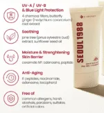 K-SECRET Seoul 1988 Sun: Pine Tree + Ceramide - Image 2